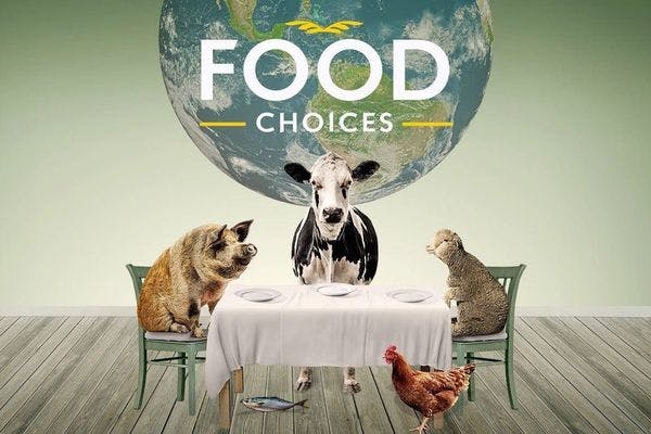 Food choices dokumentumfilm borítókép