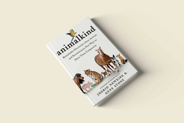 Animalkind könyv borító