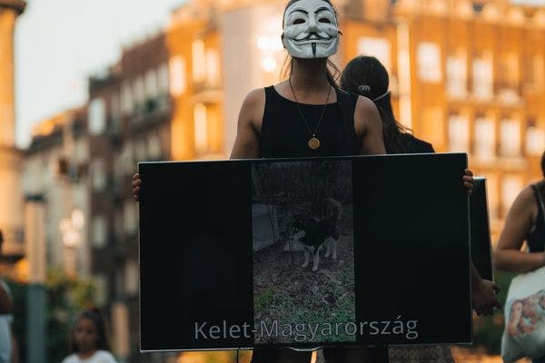Ne vásárolj, fogaj örökbe demonstráció a Deák Ferenc téren